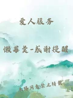 愛人服務