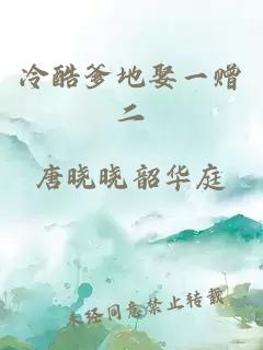 冷酷爹地娶一贈二