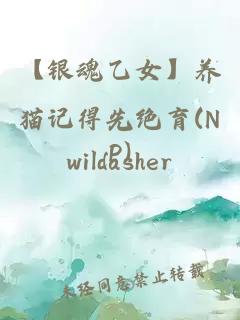 【銀魂乙女】養貓記得先絕育(NP)