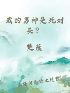 我的男神是死對頭？
