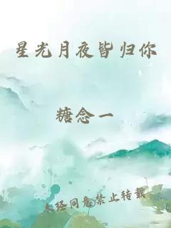 星光月夜皆歸你
